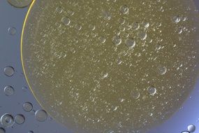 oil stain with air bubbles