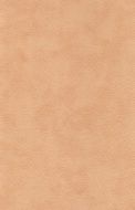 light textural background