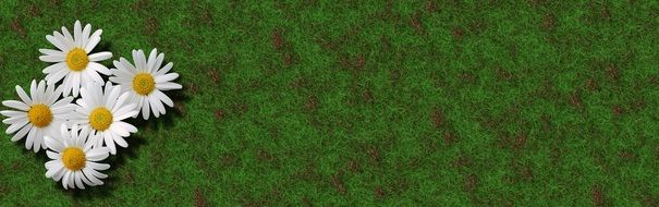 Banner Header Background Rush