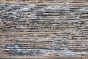 Wood Board Texture Structure