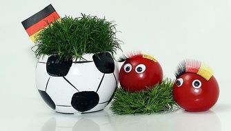 scenery of a football match in Germany