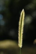 Background Beautiful Clean Clear