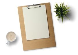 Desk White Background Plant