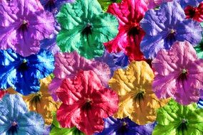 Background Colors