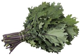 Boot Rhubarde Organic Food