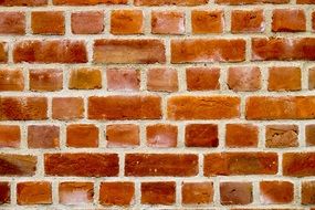 Wall Brick Background Red