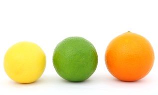 citrus on the white background