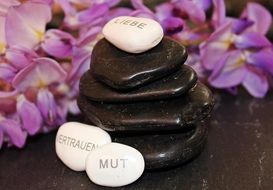 wellness stones