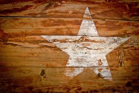 Wood Grain Star Paint Grained