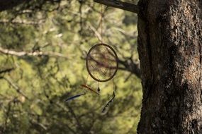 Dreamcatcher Forest Tree Culture