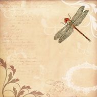 background with pattern and dragonfly