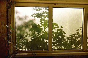 Window Glass Pane Frosted Glass