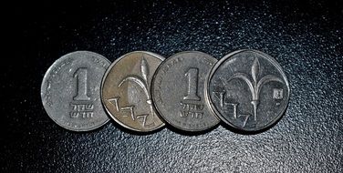 Shekel New Shekel Currency
