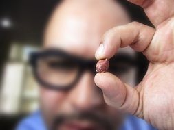 Peanut Hand Vision Look View