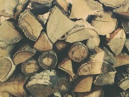 Wood Fuel Forest Firewood