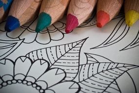 color pencils lie on the coloring book