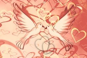 Heart Background Pigeons