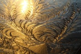 frozen water in sun lights