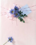 Packaging Gift Package Pattern