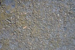 Cement Plate Image Texture