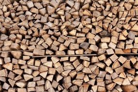 Woodpile Chopped Logs Cut