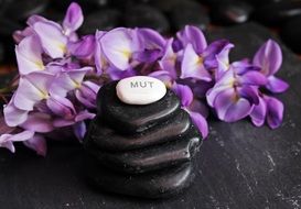 wellness stones and purple flowers