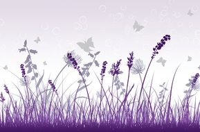 Wallpaper Purple Grey Decorative