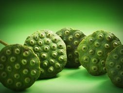 lotus seed on green background