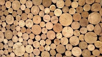 Material Wood Logs Casing