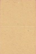 Paper Texture Brown Raw Light
