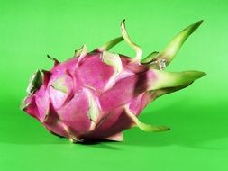 dragon fruit on green background