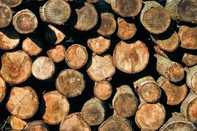 Holzstapel Texture Wood Nature