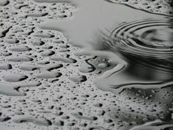 The Background Drops Water Rain