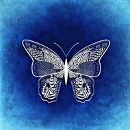 butterfly drawing on blue background