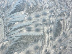 Frost Window Pattern Winter