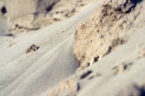 Sand Background Desert Dry