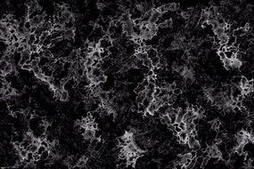 Abstract Beautiful Background