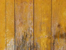 Door Wood Texture Background