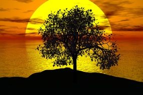 Tree Sunset Sun Landscape