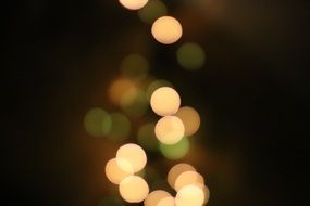 white and green highlights, bokeh