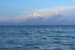 Sea Ocean Blue Waves Water