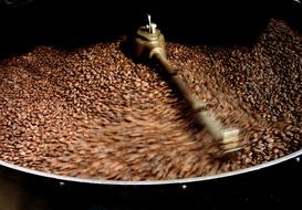 Coffee Beans Coffee Costa Rica