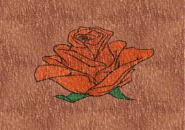 The Background Web Flower Rose