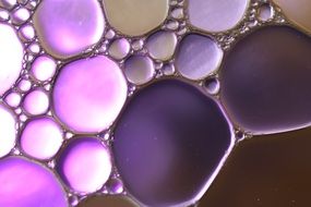 purple oil circles on liquid