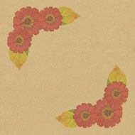 Flowers The Background