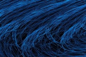 blue lines on black background