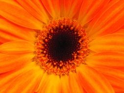 background with yellow flower