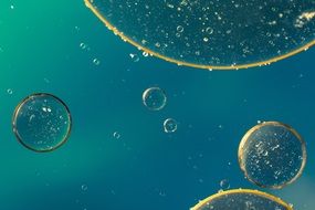 oil circles in blue liquid