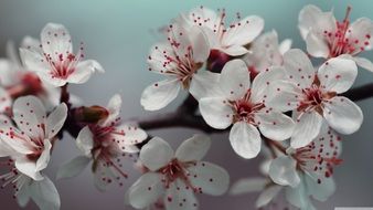 Hd Photography Wallpapers