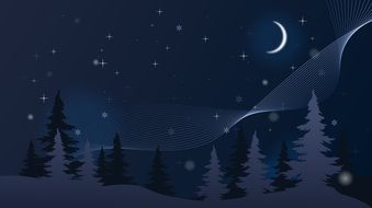 Wallpaper Winter Night Christmas